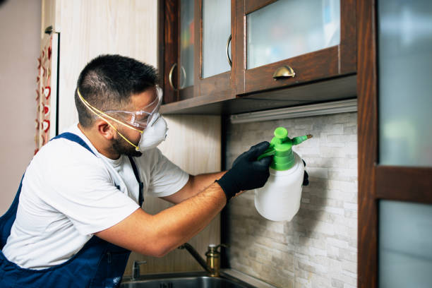 Best Best Pest Control Companies  in Spring City, TN