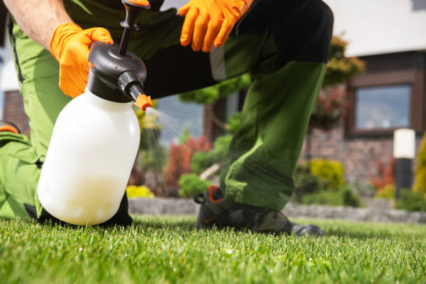 Best Affordable Pest Control Services  in Spring City, TN