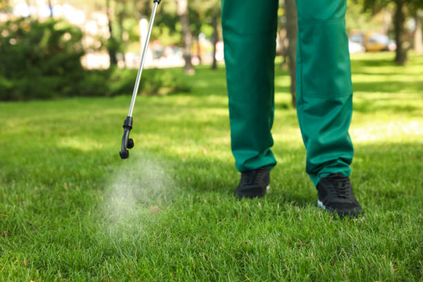 Best Mosquito Control Services  in Spring City, TN