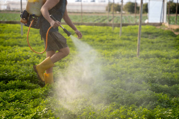 Best Exterminator Services  in Spring City, TN