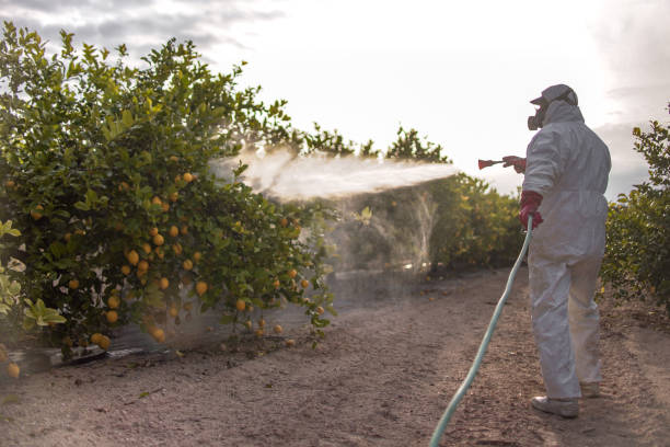  Spring City, TN Pest Control Pros