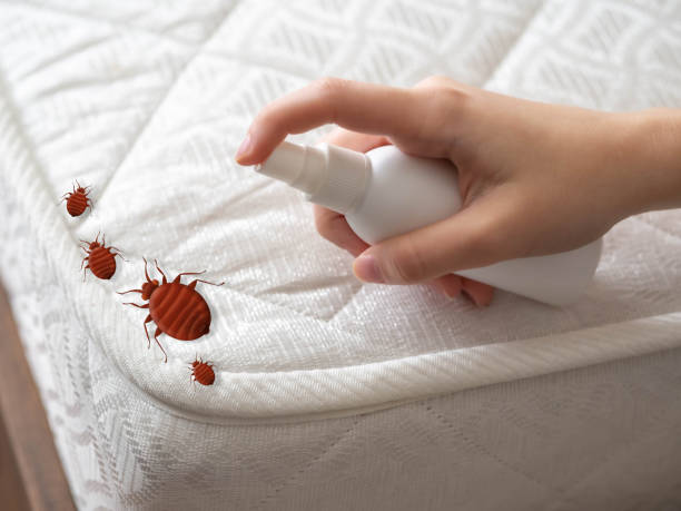 Best Pest Removal Services  in Spring City, TN