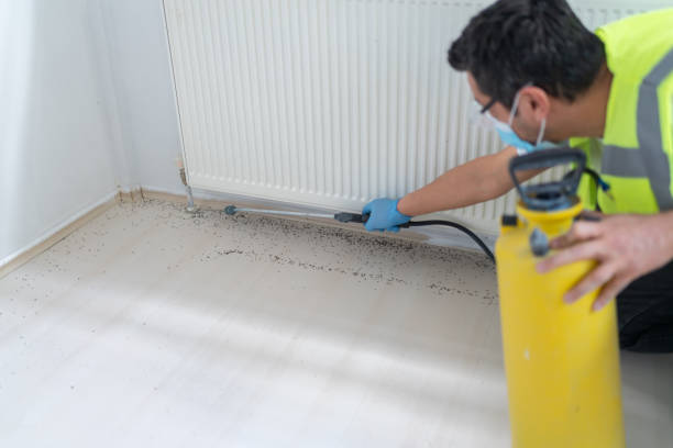 Best Ant Control Services  in Spring City, TN