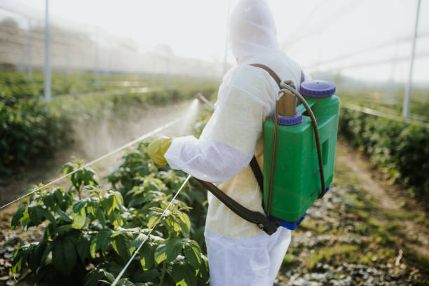 Best Pest Prevention Services  in Spring City, TN